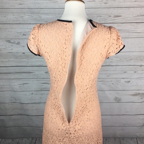 Loft pink lace dress - Picture 5 of 6